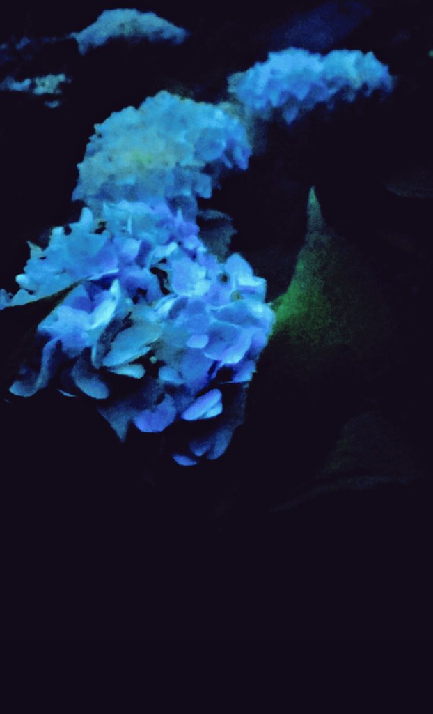 dieleserin2's tweet image. Im Tor schon 

hobst du den Blick.
Wir sahen uns an.
Eine große Blüte 
stieg leuchtend blaß
aus meinem Herzen.

#SchönengutenMorgen
#HildeDomin
#ShineOn