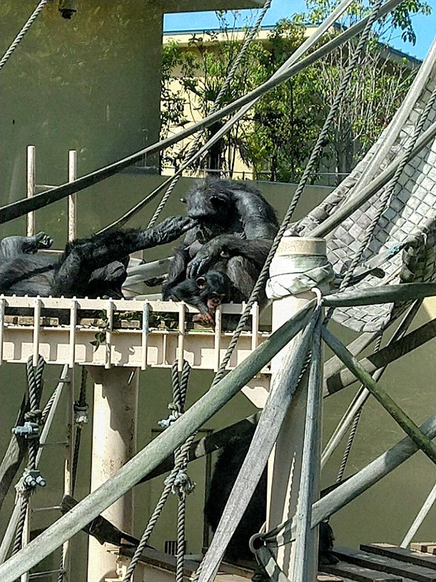 まちものがたり on X