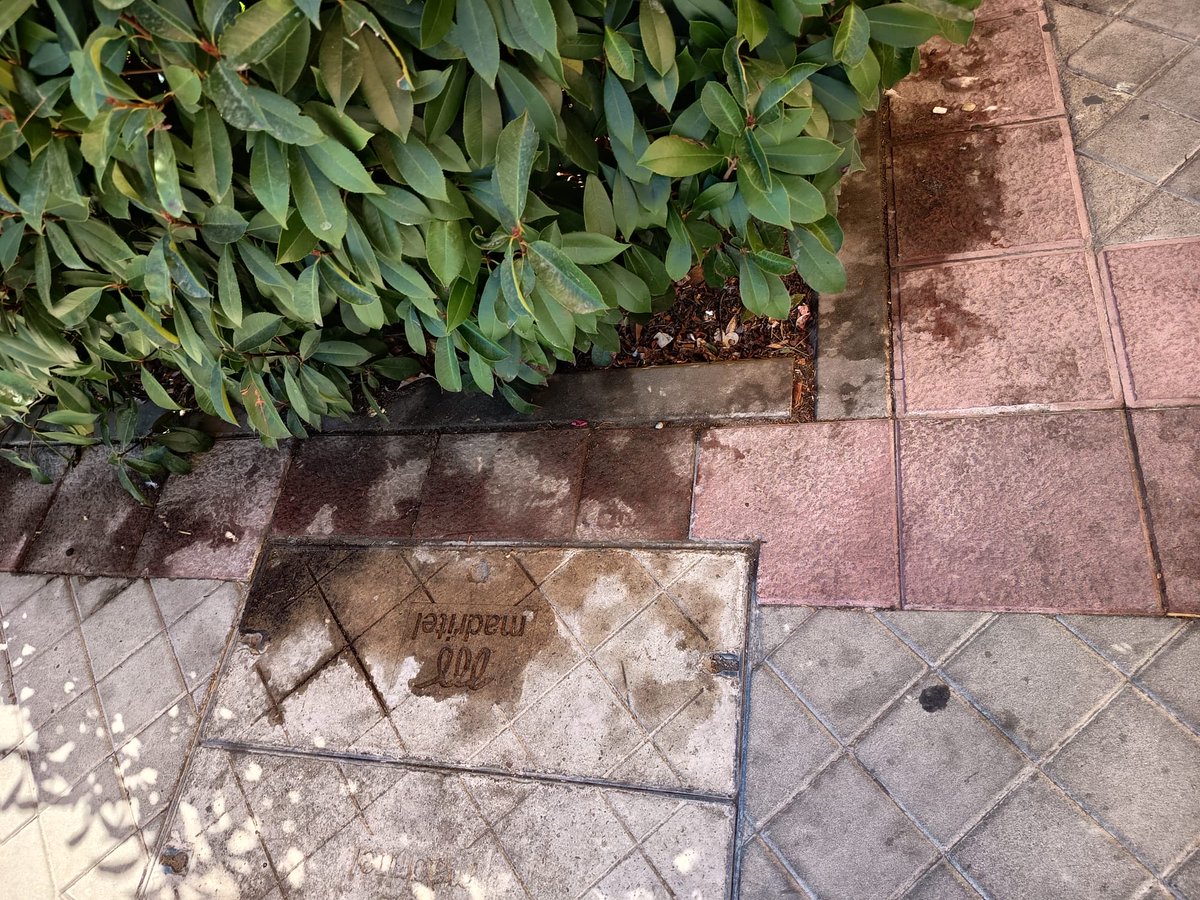 Blaspollus's tweet photo. @AvLasTablas Esto solo en la calle del Supercor que siempre está lamentable. Y así todo el barrio https://t.co/jX0vu66a1i