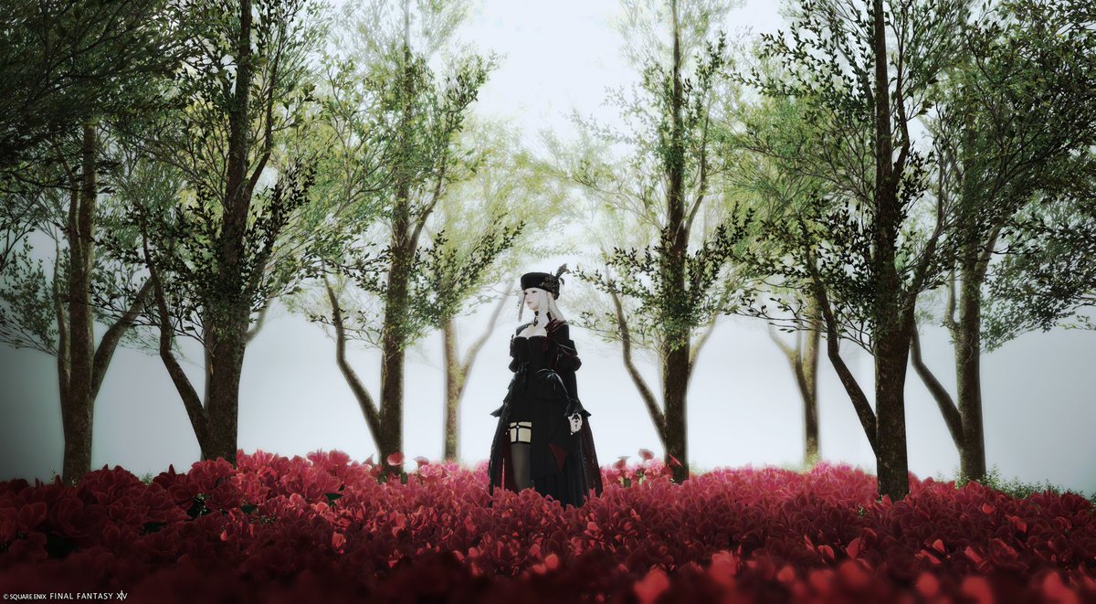 #FF14_pom

#FF14 #FFXIV