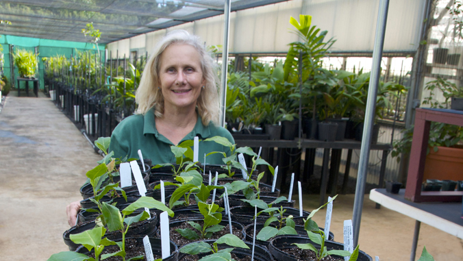 uhmanoa's tweet photo. .@CTAHRNews Associate Professor Diane Ragone received @NTBG's Fairchild Medal for her global leadership in ʻulu research, conservation, and advocacy, honoring four decades advancing food security and cultural knowledge across the Pacific ➡️ https://t.co/HhN0kKnnkR https://t.co/sLDonPOL4H