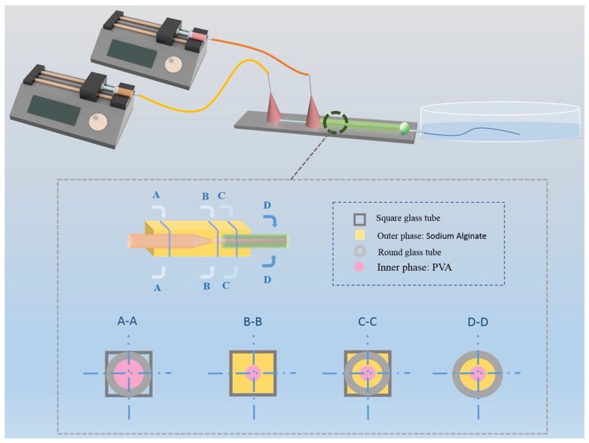 Biosensors_MDPI's tweet photo. 📣Call for Reading:
#Article
Multi-Functional Nano-Doped Hollow Fiber from Microfluidics for Sensors and Micromotors
by Yanpeng Wang, et al.
https://t.co/20OPxkUItH
#HollowFibers #NanoDoped #microfluidic #micromotor #biosensors #mdpi #openaccess https://t.co/sHEPUH3XGq