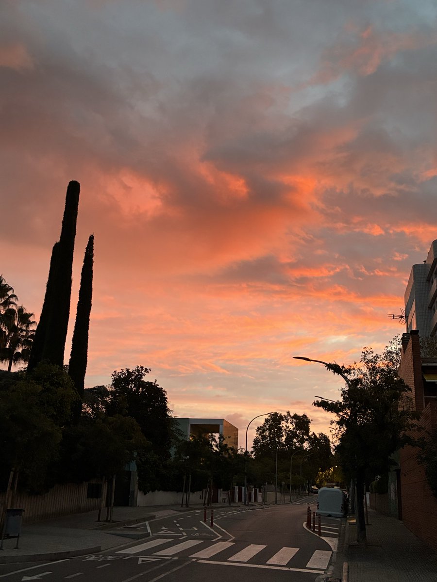 Jordi Pallés i Marimon tweet media