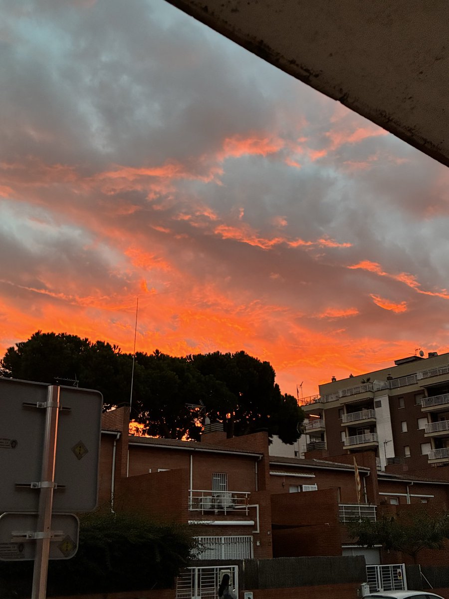 Jordi Pallés i Marimon tweet media