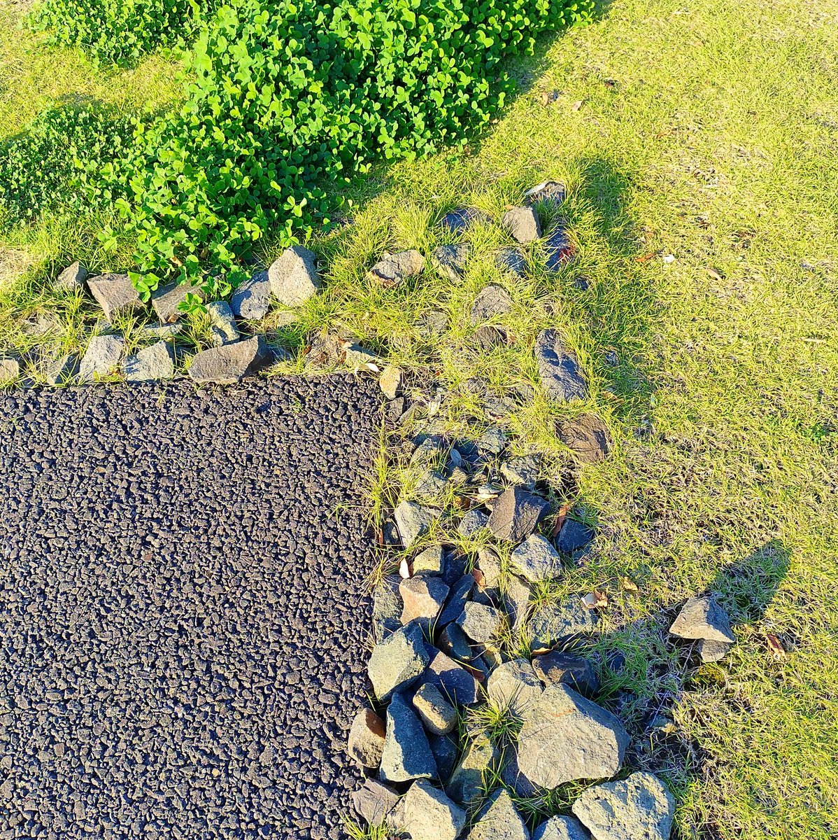 【@かめさん】専用 Amazon | カメ用水槽 大きい カメ 水槽 亀の水槽 亀 脱出防止