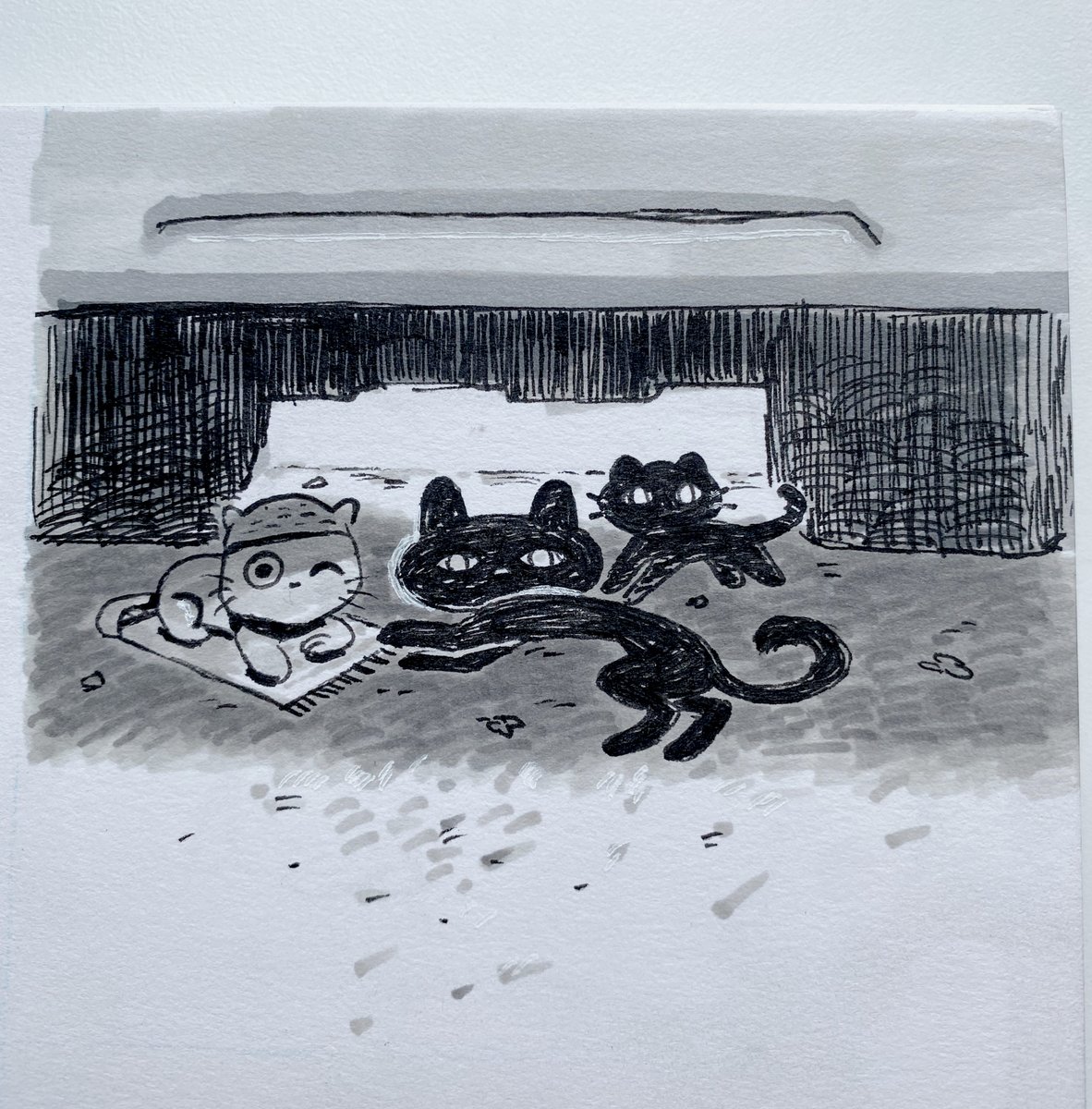 #Inktober 4- Cats everywhere. 🐈🚗 #uae