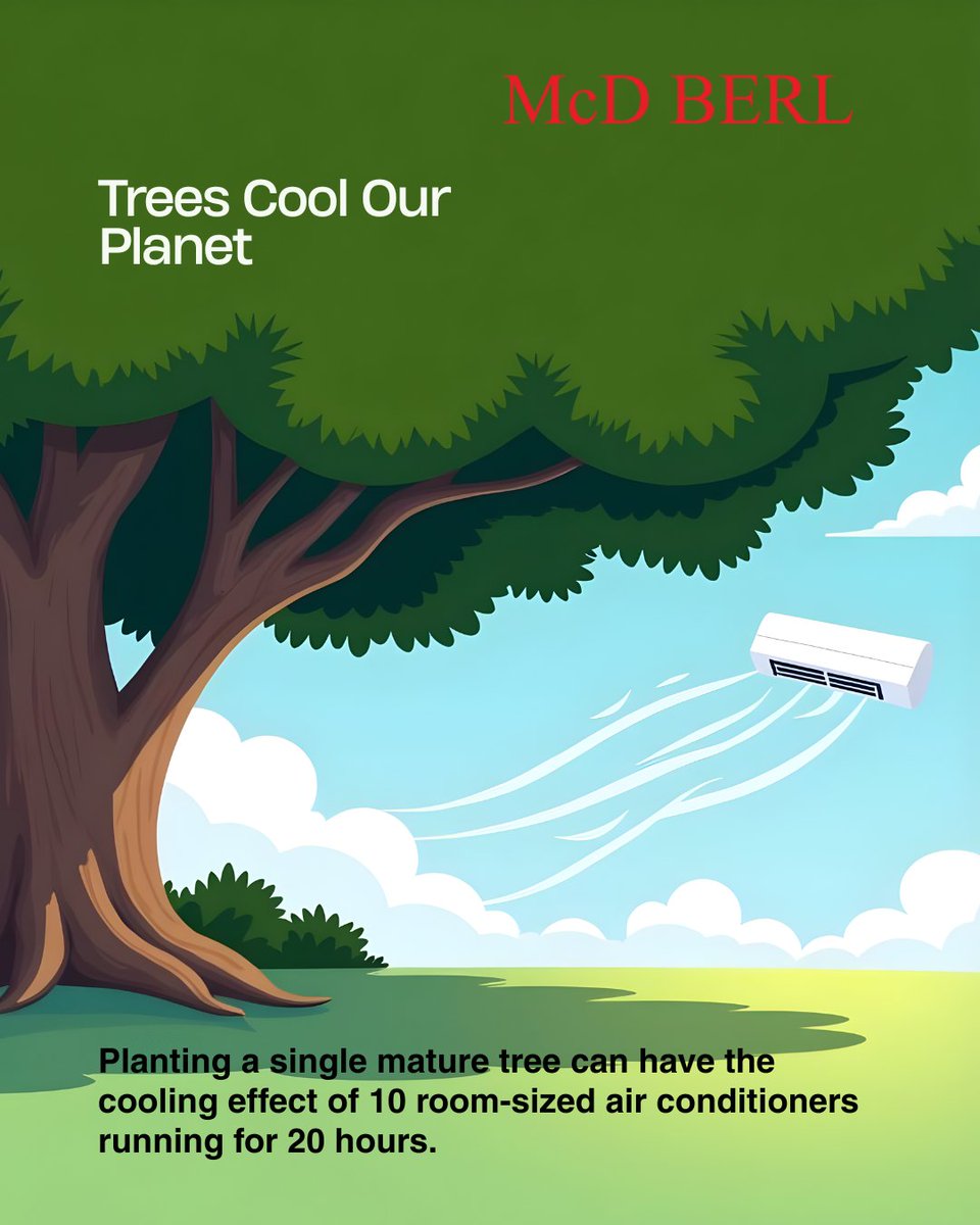 _mcdberl's tweet photo. Nature has its own design for comfort. Long before we engineered cooling systems, trees mastered the art of temperature regulation — shading the earth, filtering the air, and nurturing life beneath their canopies. https://t.co/2jhhlAh7zY