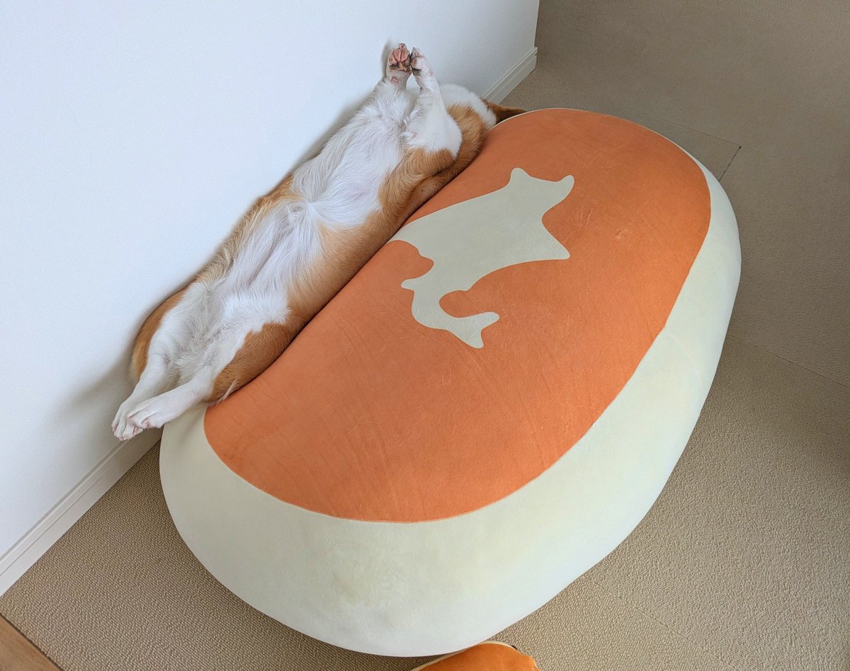 どんな寝かたよ！！！！