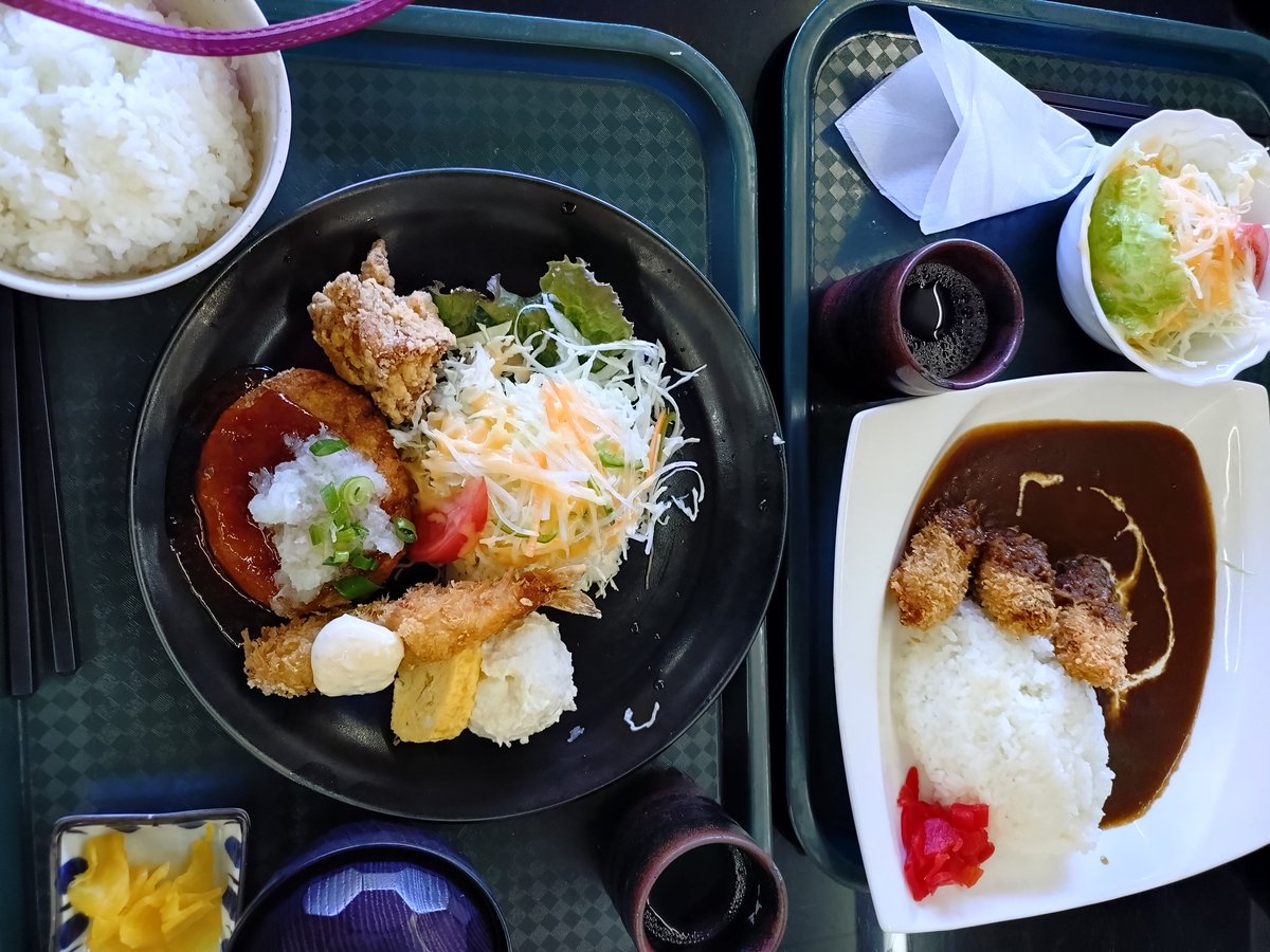 昼ごはんは、豆腐ハンバーグ。牡蠣フライも一つもらいました。