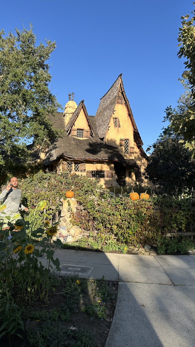 Balkabaklari cikti meydane vefali kofteciye selam olsun