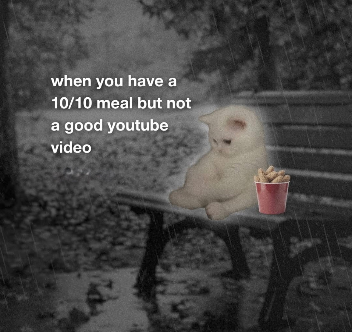 Respectful Memes (@respectfulmemes) on Twitter photo 