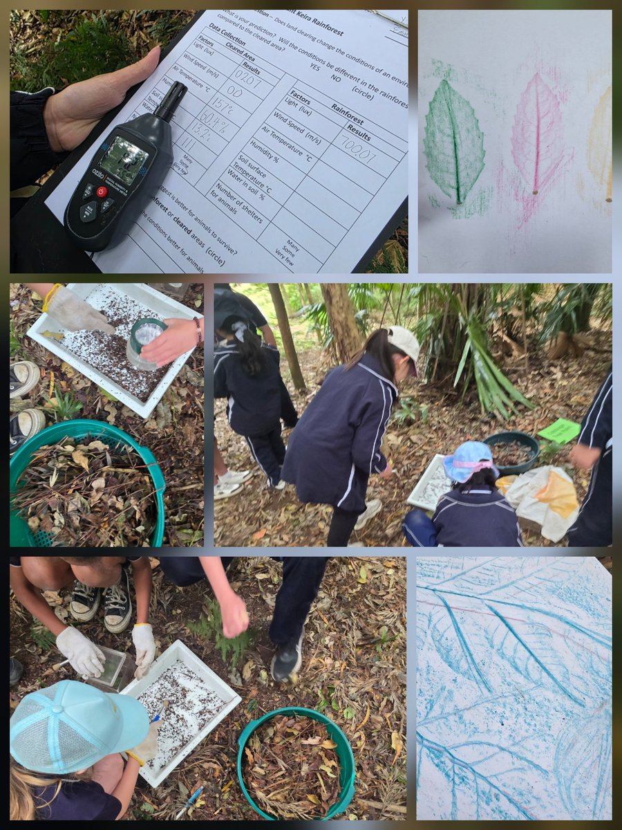 SMEEAndrew's tweet photo. A highly engaging day for #WollongongPS S2 students at Mt Keira(Geera) completing scientific, artistic, cultural & historical investigations #IEEC #EnvironmentalEd #publiceducation https://t.co/pyHIy24s8Y