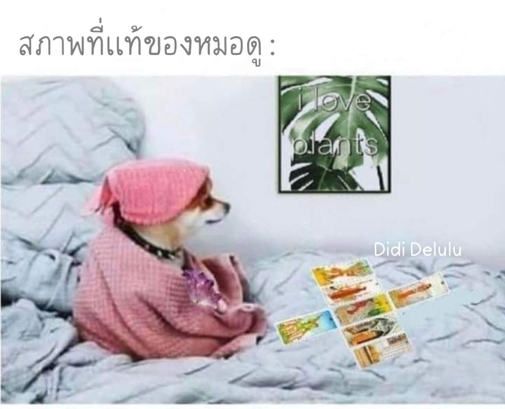 ディディ tweet media