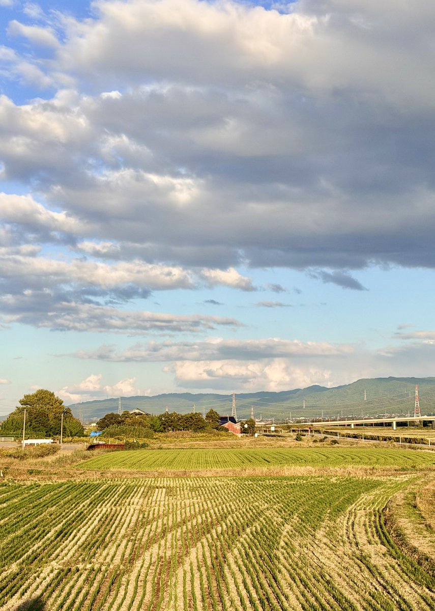 desu03857166's tweet photo. 田園風景

#写真好きな人と繋がりたい 
#photography https://t.co/bxojiiEZXL