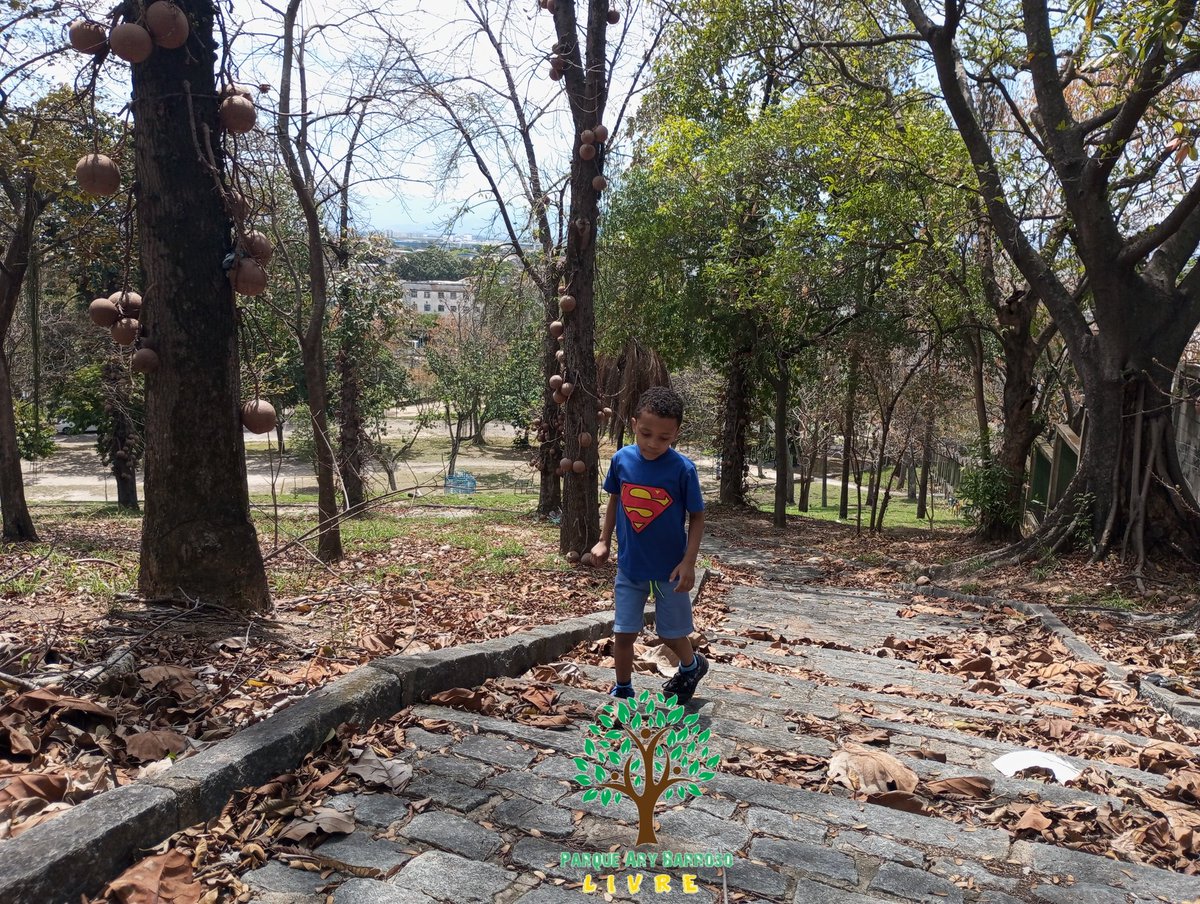 ParqueAry's tweet image. 🫂 MUTIRÃO DE LIMPEZA 🚮

🌳 @ParqueAry LIVRE 🔓

🎉 2️⃣6️⃣ OUTUBRO 2️⃣0️⃣2️⃣5️⃣ 🎊

💚 PARTE 8️⃣ 💚

🦸🏾‍♂️🤴🏾 NOSSO SUPER-HERÓI SEGUE LIMPANDO &amp;amp; BRINCANDO EM NOSSO... 🚮🛝

🫁 PULMÃO DA ZONA DA LEOPOLDINA 🏘️

👣 SEGUIMOS UNINDO NOSSA: 🫂
🏘️ @LeopoldinaEmMov 🛤️

📸 @ValoresDaPenha2 ⛪🏆