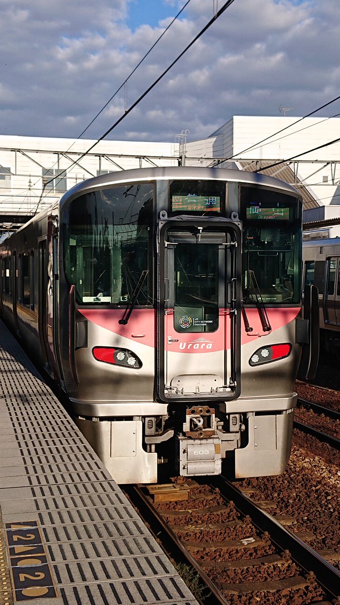 ゆうだち　赤いセミ れっちゃん) on X