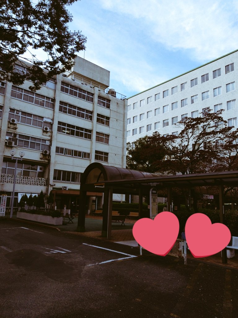 青ちゃん (@ikuo3972) / Posts / X