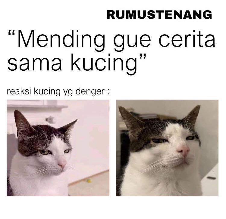 xbaebearx's tweet image. 