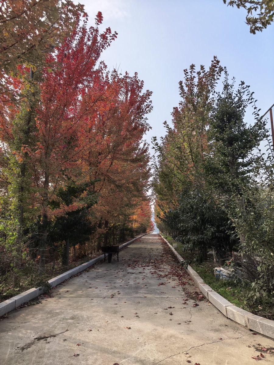 あ★ん！ NOVENA AGUNG DATEABLE (5/9) tweet media