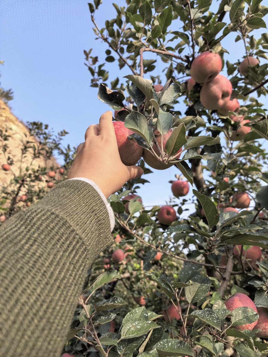 あ★ん！ NOVENA AGUNG DATEABLE (5/9) tweet media