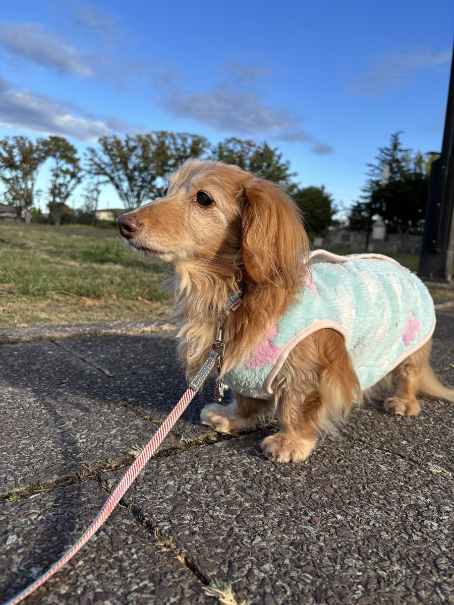 ゆきんこ🌸 (@Yukinko0520) / Posts / X