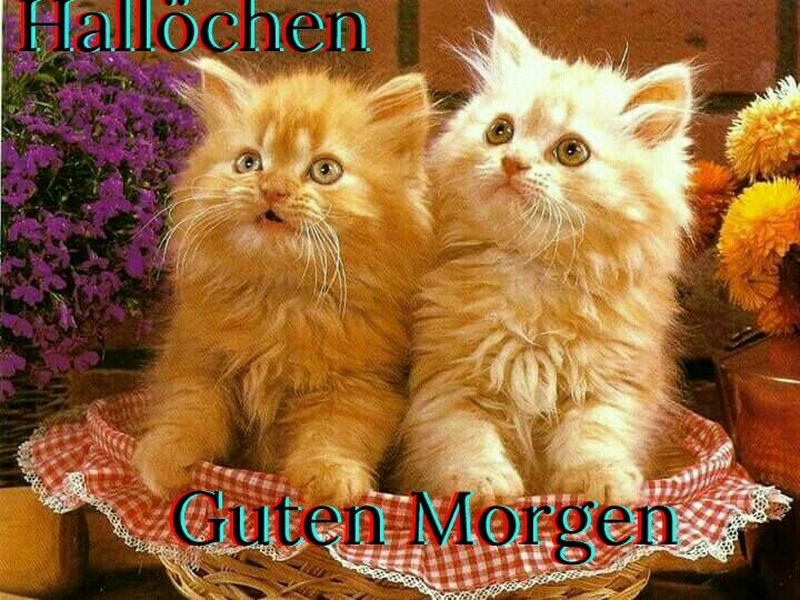 Conny (@bollcornelia) on Twitter photo 