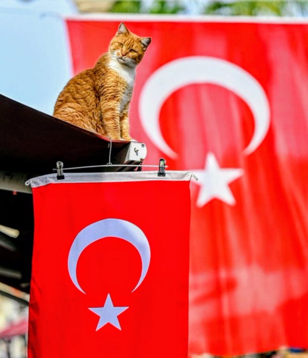 Bayramımız kutlu olsun.  #29Ekim