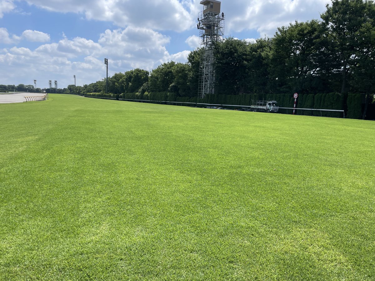 本日11月2日(日)は、いよいよ #天皇賞 (秋)🏇
この日の為に調整を重ねてきたお馬さんたちの、華麗な走りが楽しみです。
環境大善の「土いきかえる」をコース外周・内周すべての芝に採用いただいております。
お馬さんの事は詳しくなくても、芝への愛なら負けません✨
素敵なレースになりますように！