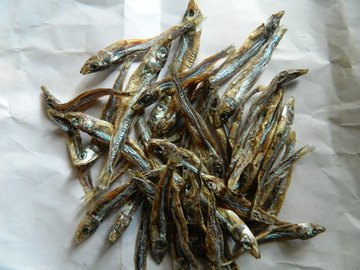 Audio na video tweet media