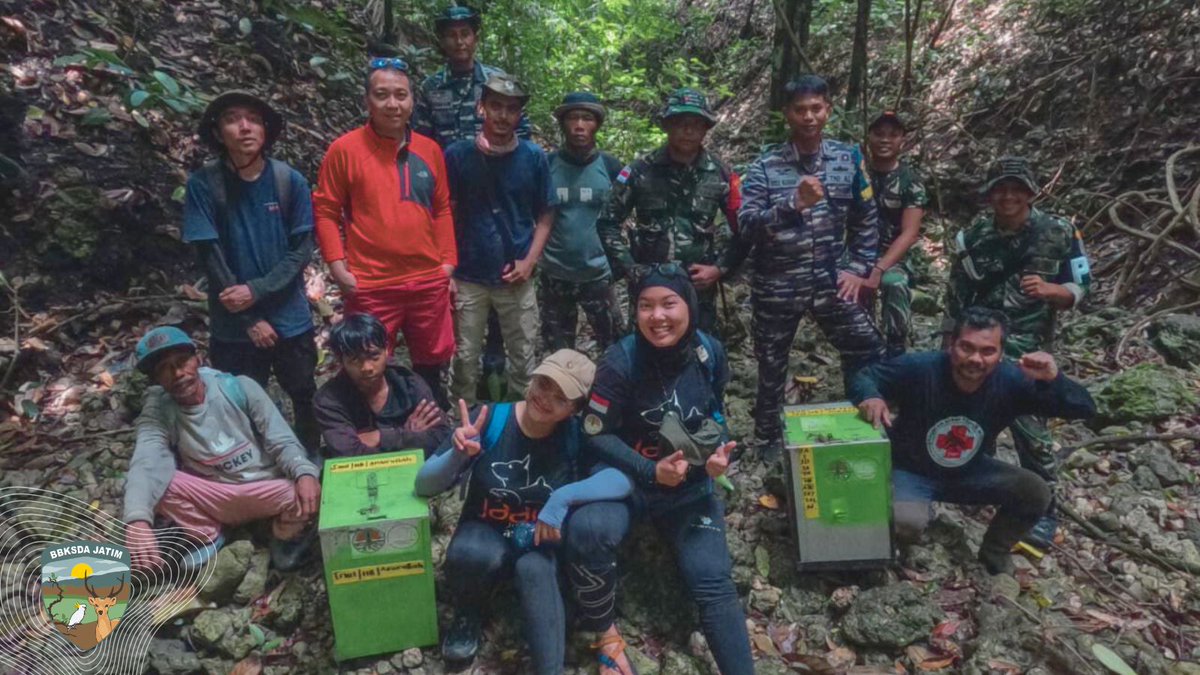 bbksda_jatim's tweet image. Merayakan Semangat Sumpah Pemuda, 39 Ekor Monyet Ekor Panjang di Lepasliarkan di Nusa Barung
@RajaJuliAntoni @kemenhut_ri @KominfoJatim 

#Rabu #Pagii #Nikita #UMKM #Indonesia #Sidoarjo #Bksda #Jawatimur #jember #monyet #nusa
Selengkapnya
bbksdajatim.org/merayakan-sema…