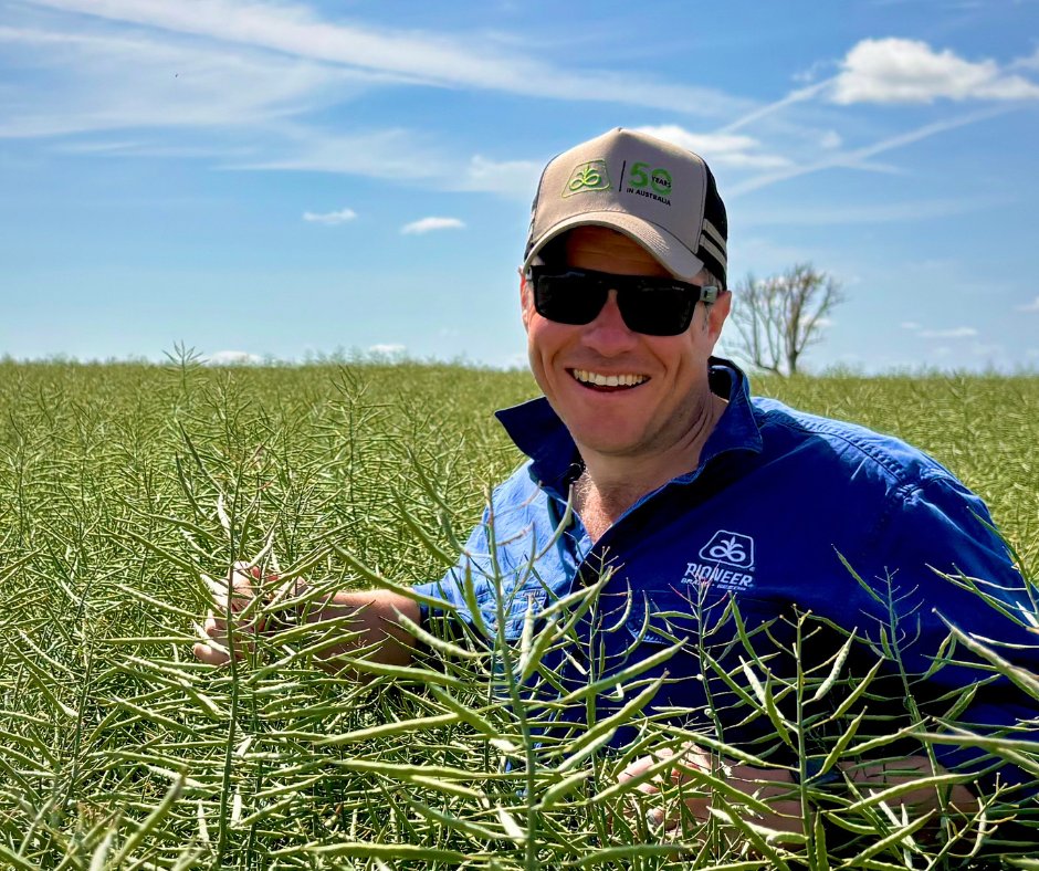 Pioneer® Regional Sales Manager Cameron Searle was pretty chuffed with the new Pioneer canola hybrid, PY429T at Parkes NSW at a recent field walk. Not only is it a standout for early growth in the Triazine Tolerant segment, but it also packs a lot of pod!