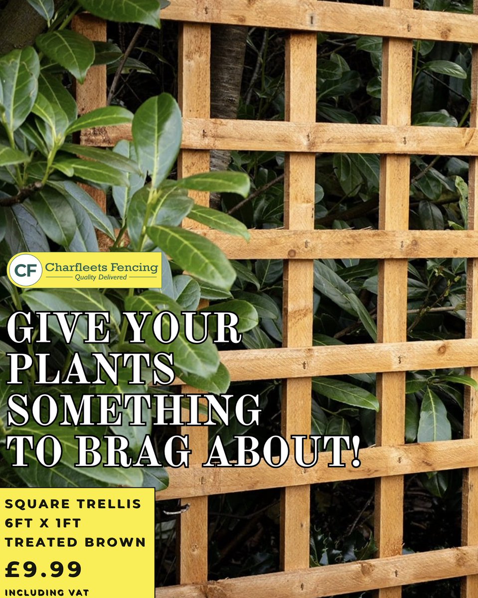 CharfleetsFenc's tweet image. 🪴 Make Your Garden Climb in Style!
☎️ - 01268 696 930
💻 - charfleetsfencing.co.uk
#GardenTrellis  #OutdoorDecor #GardenDIY #OutdoorLiving #HomeAndGarden #dartford #gravesend #bexley #bluewater #billericay #essex #kent #surrey #hertfordshire #London #romford #hornchurch