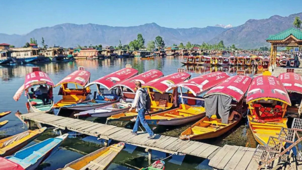 kashmirwatch06's tweet photo. Data reveals a regional gap in J&amp;K’s caste certificate distribution. #Jammu leads with majority shares: 99.2% (SC), 87.2% (ST), 56.6% (OBC), 88.5% (EWS), 85.2% (ALC); while #Kashmir holds a higher share in RBA at 67.1%.

#JammuAndKashmir #Governance #DevelopmentData https://t.co/0aKGW3EB4a
