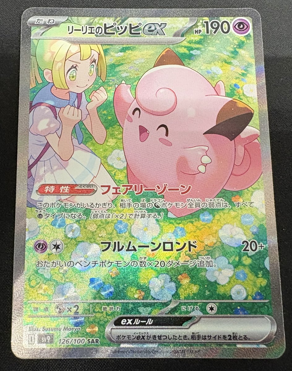 ピカさん専用 専用 kurobuchiさん専用 Z－257 BS黒本体（B） | 製品詳細 | シーピー