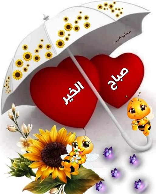..ريم tweet media