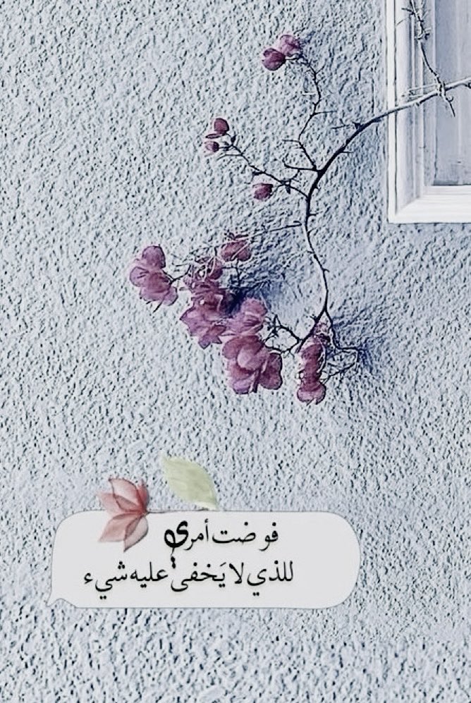 🕯️النورا🕯️ tweet media