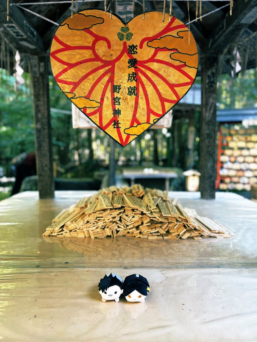 あしたのおかず🍮通販中 tweet media