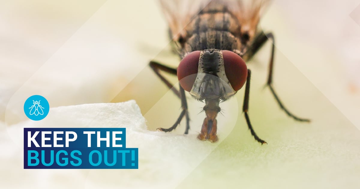 RoffMills's tweet image. 🦟 10% OFF Roff’s 22 mesh stainless steel insect screen!
Keep flies and mosquitoes out while letting fresh air in.
Durable, rust-proof, and perfect for summer.

Limited time only → hubs.li/Q03Q00TJ0

#InsectScreen #RoffMilling #MosquitoMesh #WireMesh #10PercentOff