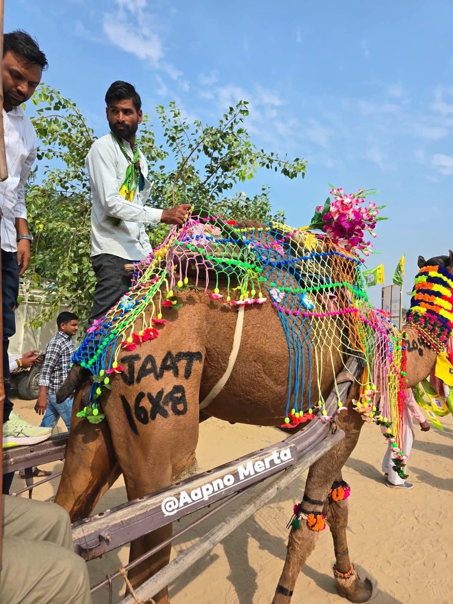 #RLP #RLP_Foundation_Day