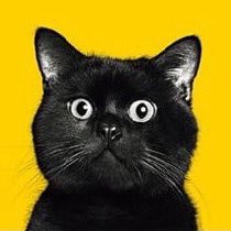 kurochan5110 (@kurochan_5110) / Posts / X