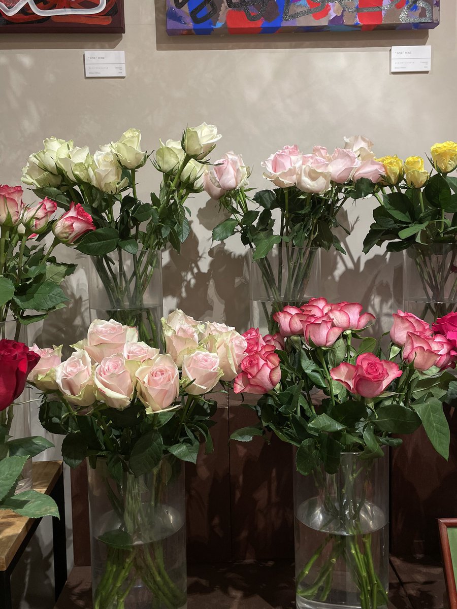 AFRIKA_ROSE's tweet photo. 本日は入荷日です！
ケニアから新鮮なバラが届いています🌹
20:00までOPENしておりますので是非お立ち寄りください☺️ https://t.co/3fJGFTOFUR