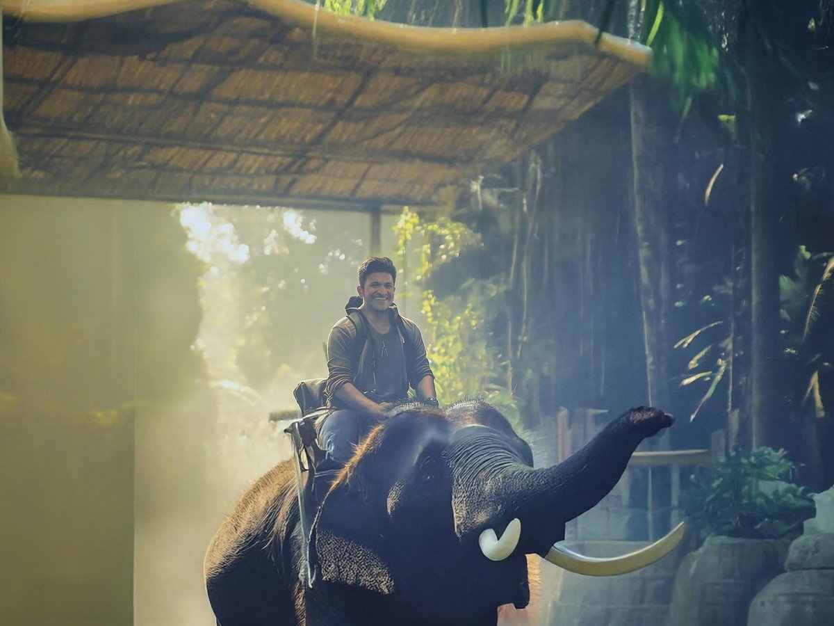 Sa_ha_na_Mg's tweet image. 4 years already &amp;amp; still feels like yesterday 😢😢😢😢 KFI will forever miss you presence #puneetrajkumar