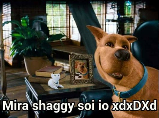 1300MC's tweet image. 