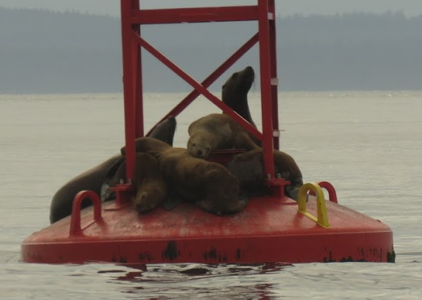 SplashOfAutumn tweet media