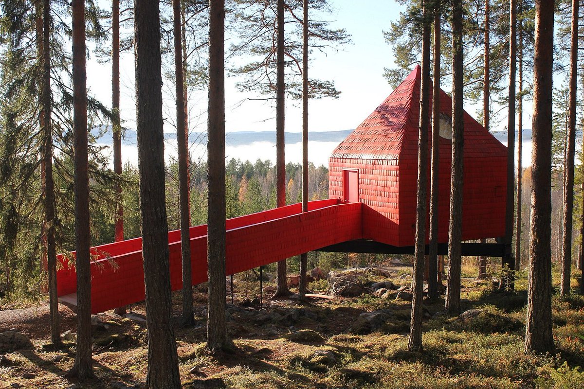 places2escape's tweet photo. 📍Place To Stay of the Week
📷Tree Hotel
🇸🇪 Harads, Sweden https://t.co/QyuNPMi0Yc