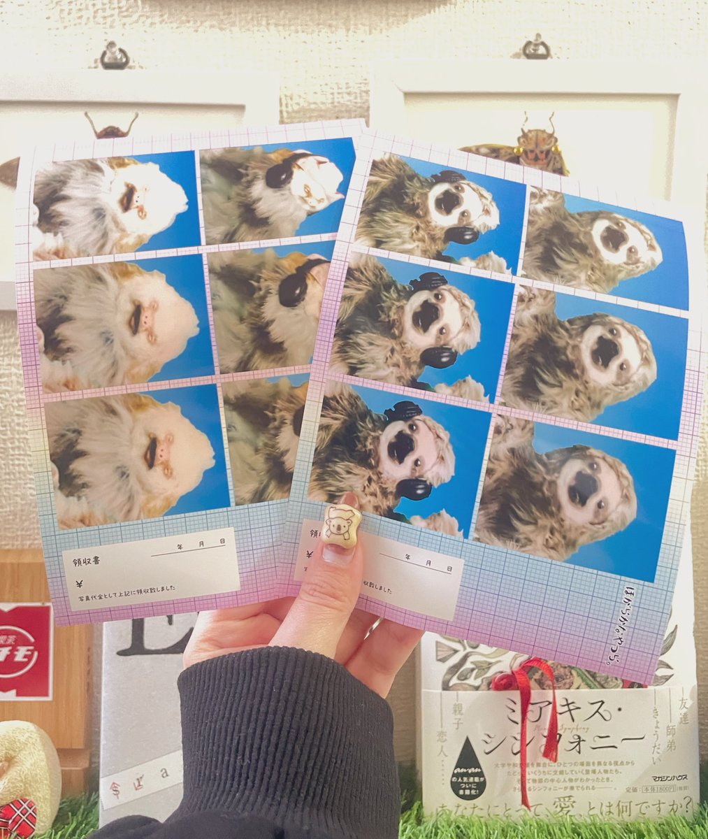 シロマロページです♥️ ししゃももどき on X