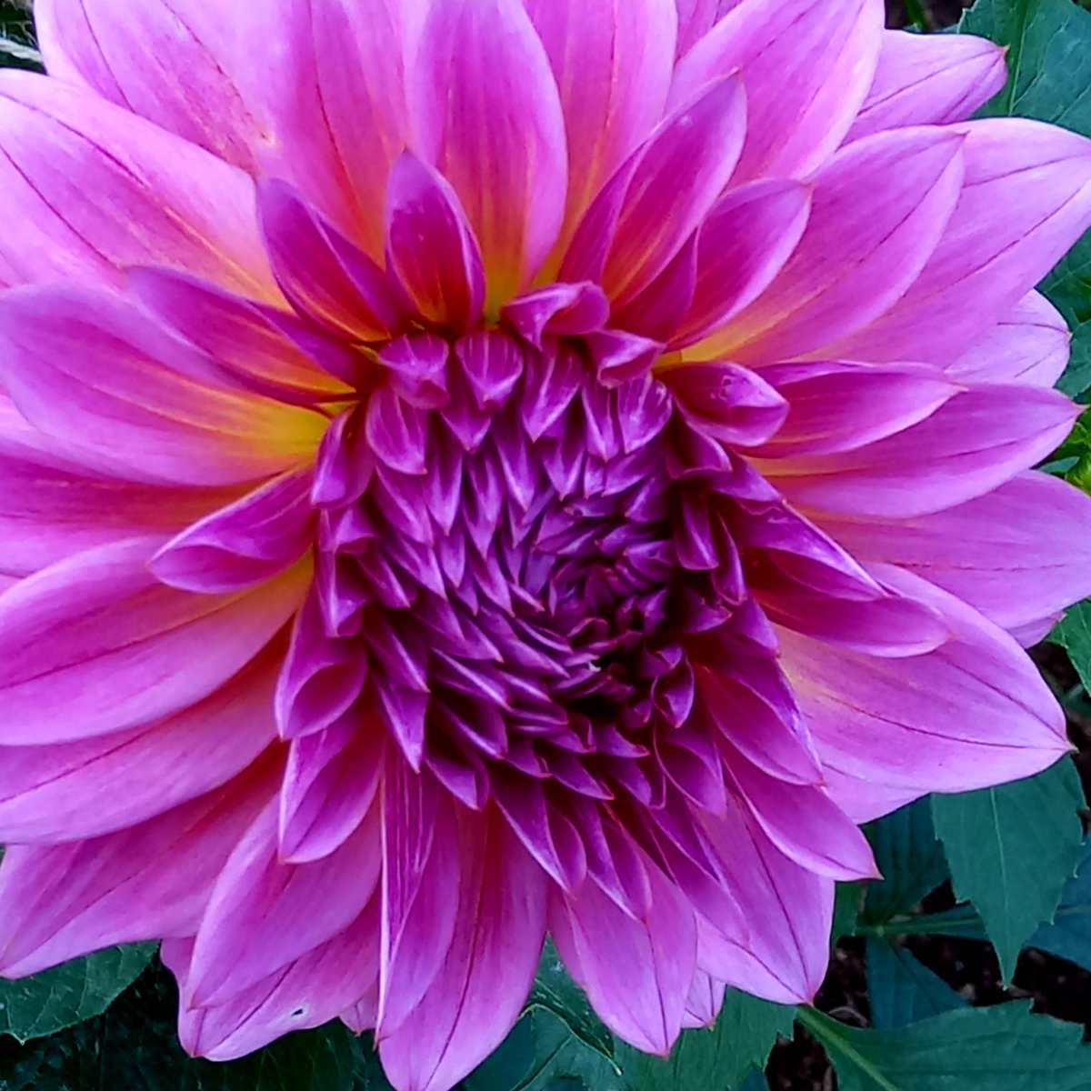 Sidu☆(^_-)-☆ on X