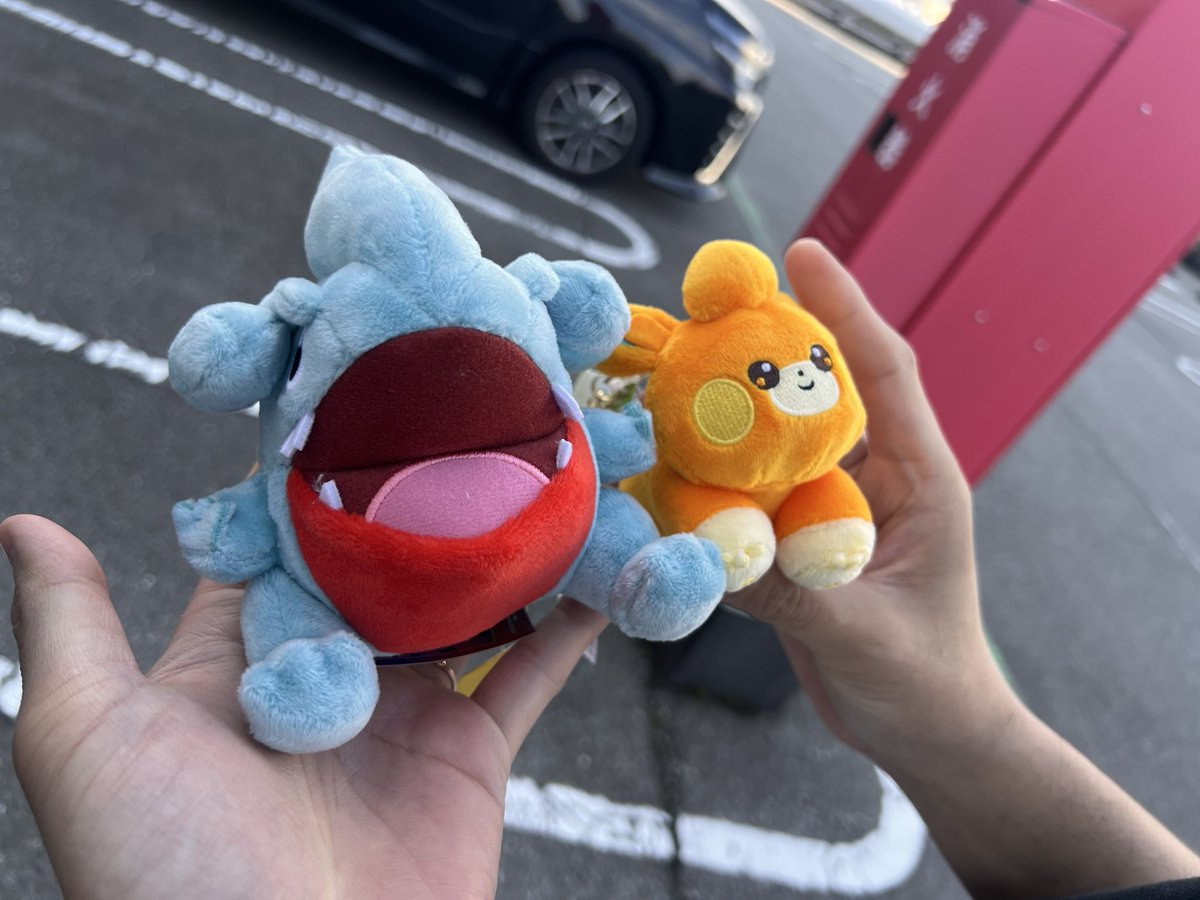 パモまるゲットだぜ