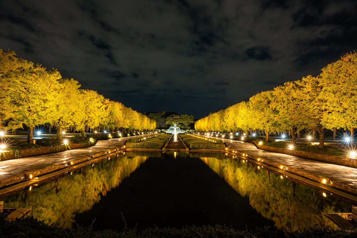 国営昭和記念公園 (@showakinenpark) / Posts / X