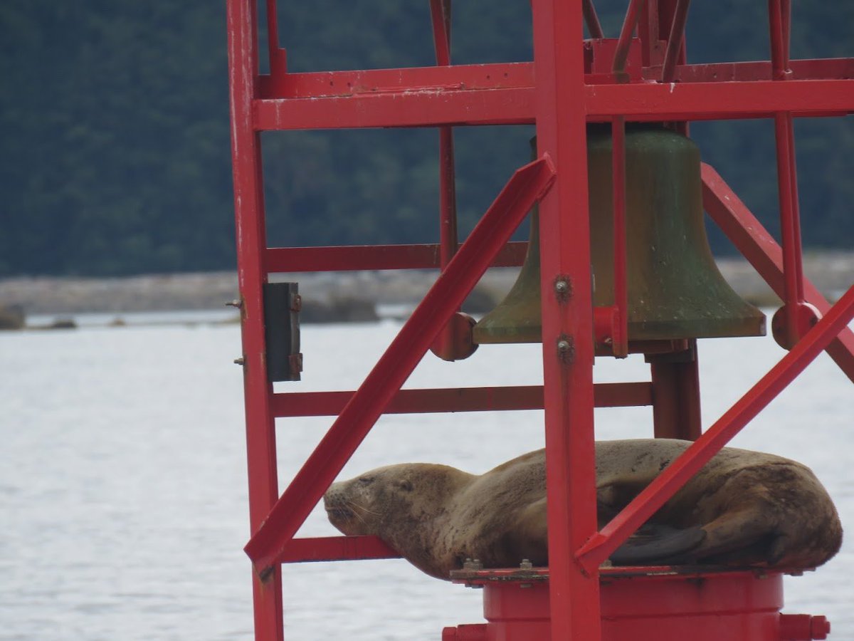 SplashOfAutumn tweet media